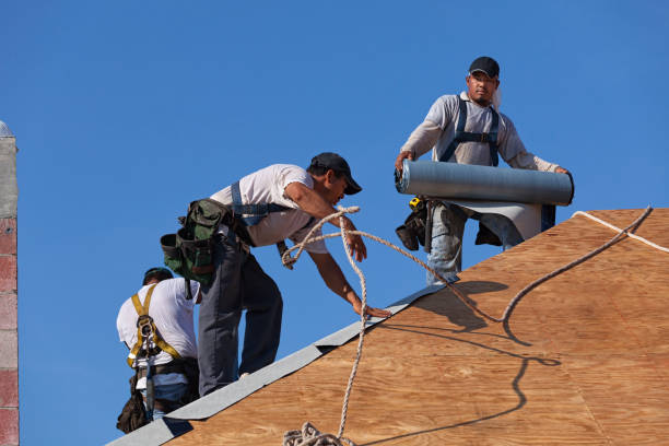 Best Commercial Roofing Services  in Renville, MN