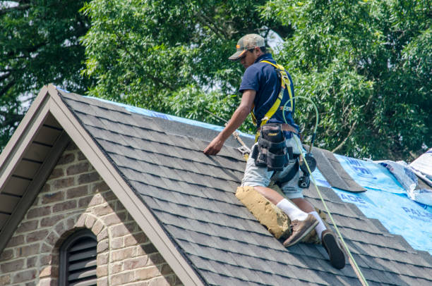 Best Flat Roof Repair Services  in Renville, MN